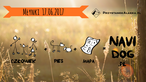 Rusz się z kanapy i na trekking zabierz 4 łapy