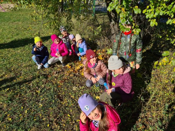 Bądź człowiekiem, pomóż jeżom przetrwać zimę