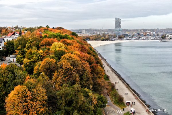 Gdyńskie powietrze za czyste na smogowy ranking PAS