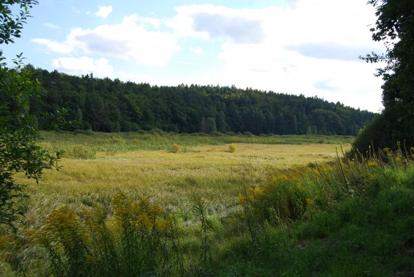 Mieszkańcy Jeziora Kackiego