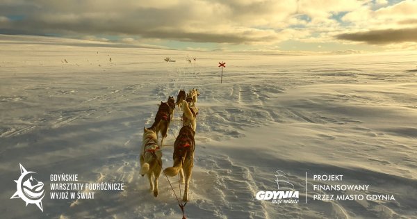 Psim zaprzęgiem w świat