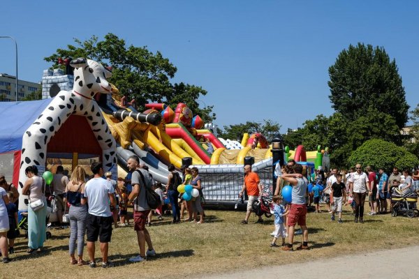 Wielka draka spod trzepaka