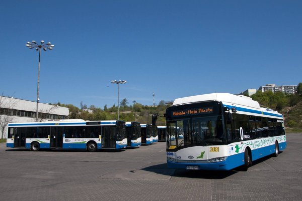 Świąteczny rozkład jazdy