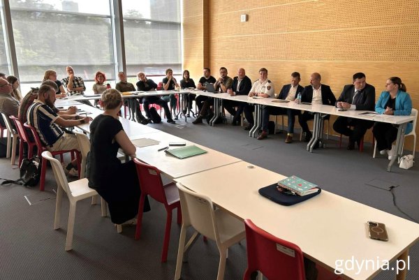 Co dalej z dzikami? Zespół ds. dzikich zwierząt przygotowuje rekomendacje