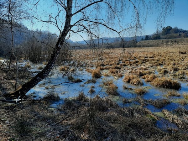 Światowy Dzień Mokradeł