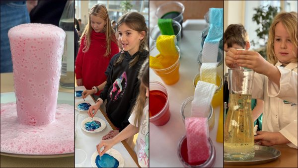 Cztery tygodnie emocji i wrażeń na Szkolnym Festiwalu Nauki