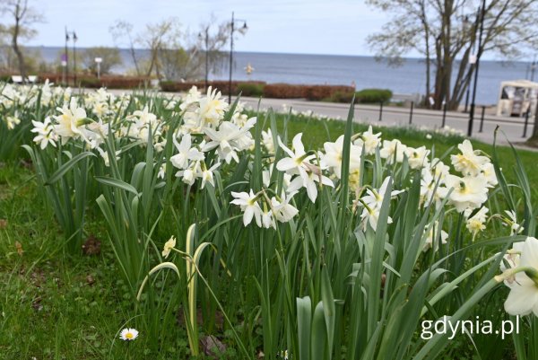 Co ciekawego czeka nas w ten weekend #wGdyni?