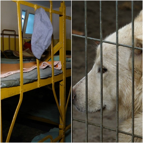 Noclegownia i schronisko gotowe do zimy