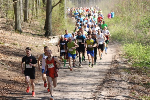 Górą i doliną – sprawdź się w gdyńskich biegach górskich