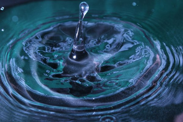 22 marca - Światowy Dzień Wody