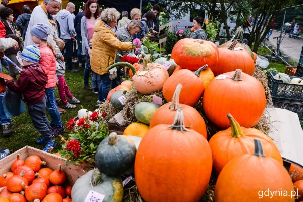 Dary Ziemi witają nadchodzącą jesień