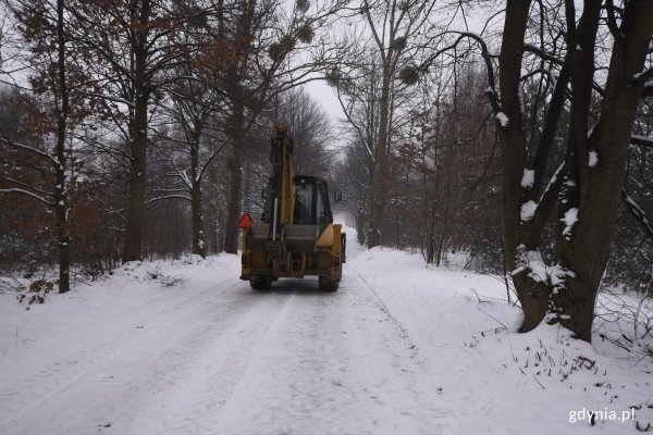 Ulica Krauzego ułatwi dojazd do Obwodnicy