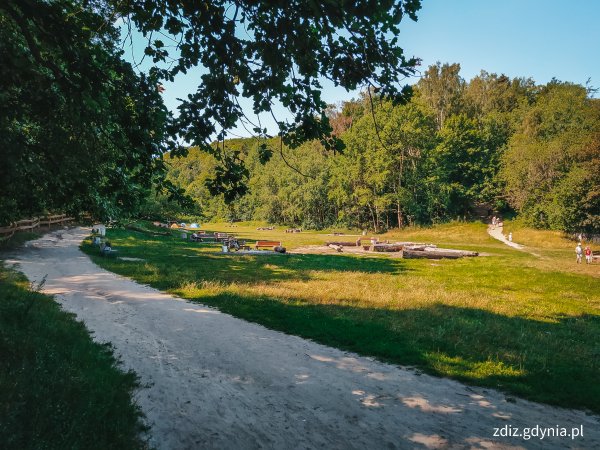Coraz więcej osób rezerwuje miejsca piknikowe