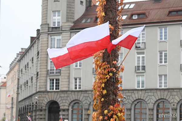 Niech biel i czerwień otulą miasto