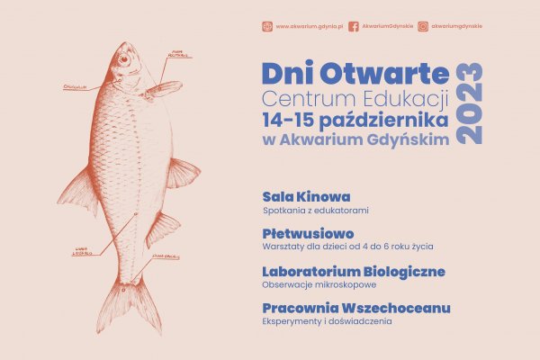  Co w morzu piszczy? Akwarium Gdyńskie edukuje od 25 lat