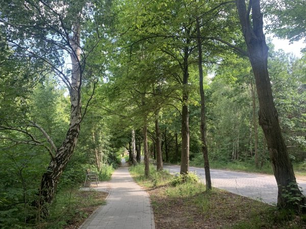 Budowa oświetlenia chodnika w ciągu ulicy A. Krauzego – rozpoczynamy prace 