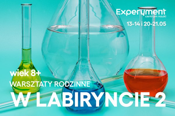 Warsztaty rodzinne. W labiryncie 2