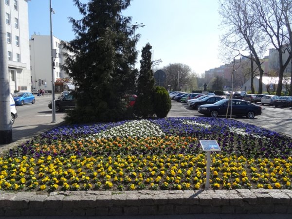 Laureaci konkursu „Gdynia Malowana Kwiatami” odebrali nagrody