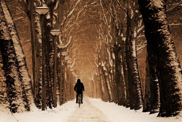 Aktywna mobilność przez cały rok w Gdyni