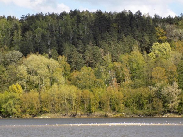 Wiosenny piknik przyrodniczy