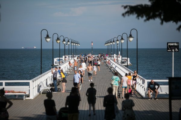 Gdynia, gdynianki i gdynianie w statystyce