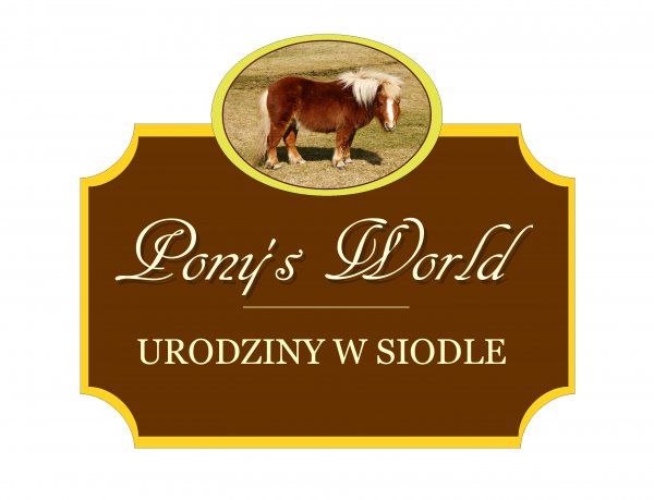 URODZINY DLA DZIECI NA KONIKACH W CENTRUM GDYNI