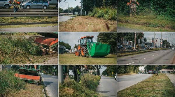 Trwa pełne koszenie trawników w Gdyni