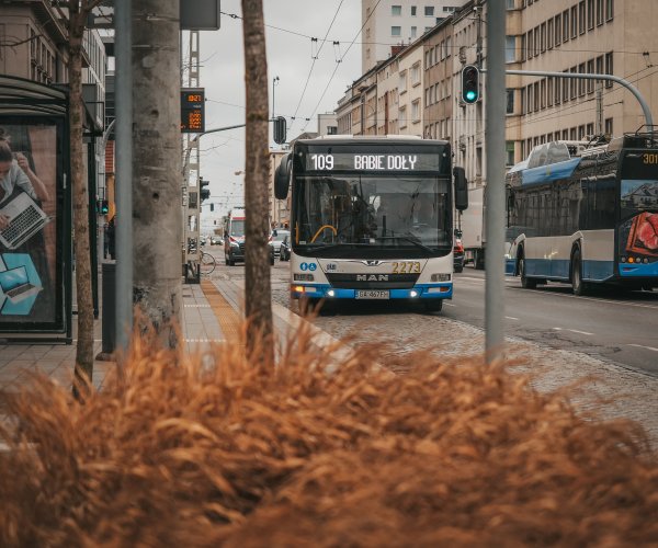 Bezpłatne przejazdy komunikacją miejską dla radnych dzielnicowych
