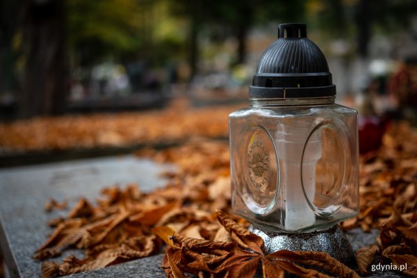 Poszukaj grobu w aplikacji Grobonet