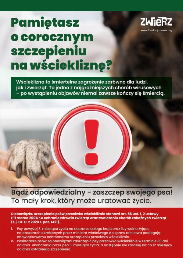 Bądź odpowiedzialny – zaszczep swojego psa