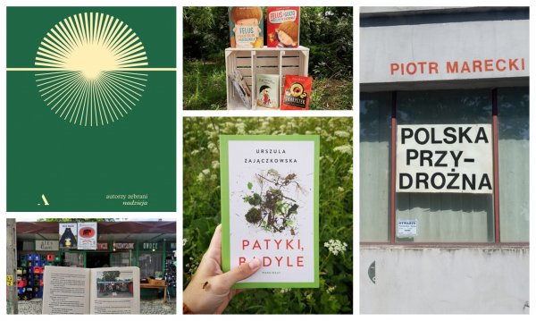 Depesza literacka – na drugą połowę wakacji