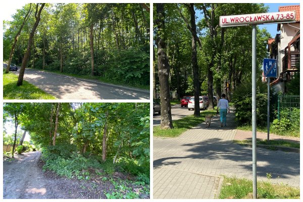 Wybrano projektanta parku w Orłowie