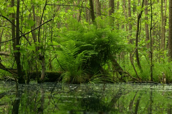 Cudawiankowe atrakcje naukowe