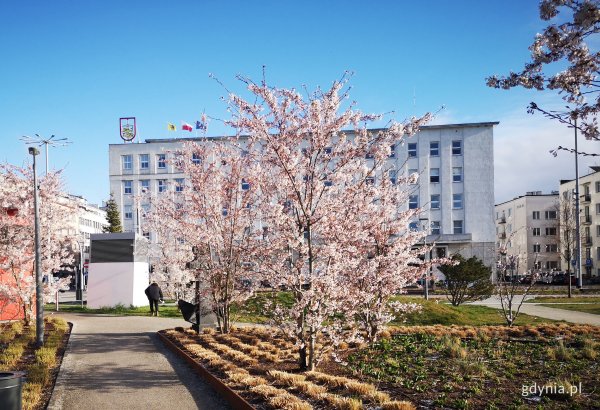 Praca Urzędu Miasta w okresie świątecznym