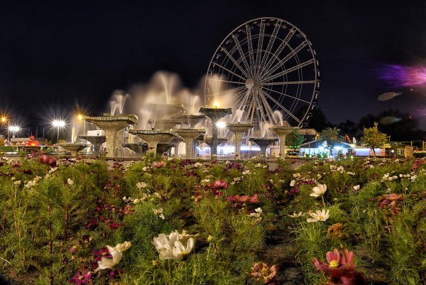 Ukazał się nowy gdyński Rocznik Statystyczny