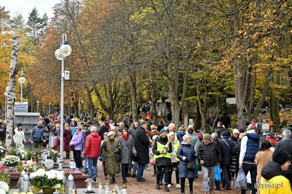 Z myślą o listopadowym święcie – przetarg dla przedsiębiorców
