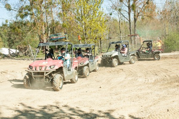 Spotkaj nosorożca na Kolibkach