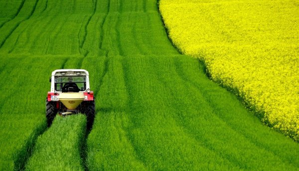 Rolnictwo w liczbach. Zostań rachmistrzem spisowym