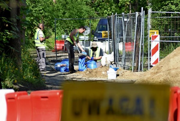 Ruszyły prace przy osuwisku na Kamiennej Górze