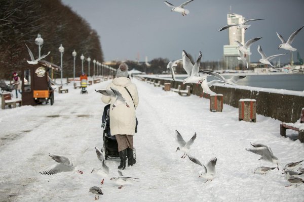 Uwaga, zima! Dziś  śnieg, silny wiatr i zamieci śnieżne