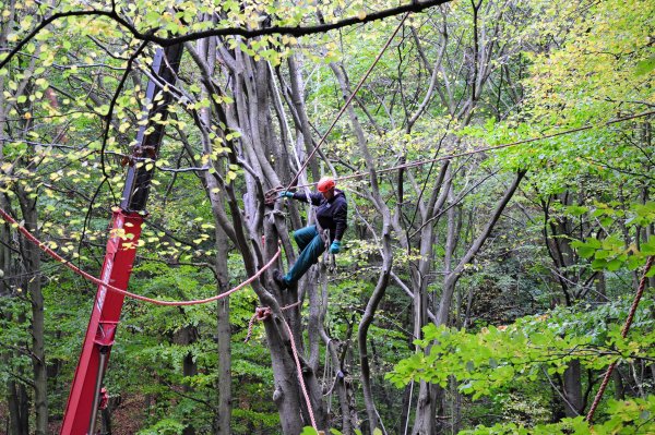Akcja reanimacja pomnika przyrody Kępy Redłowskiej 