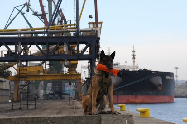 Ćwiczenia „Cerber” w gdyńskim porcie