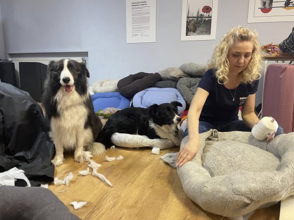 Szyjemy legowiska dla zwierząt ze schroniska