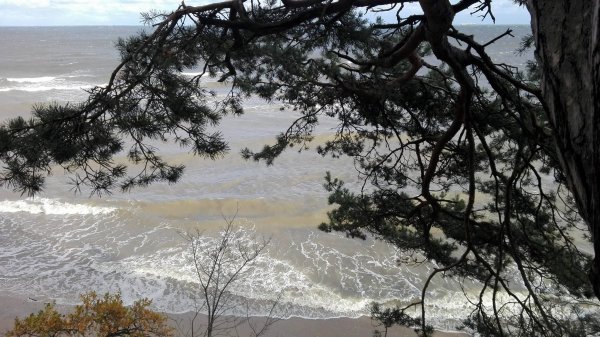 Wiało – w Gdyni bez większych strat