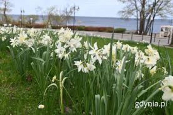 Co ciekawego czeka nas w ten weekend #wGdyni?