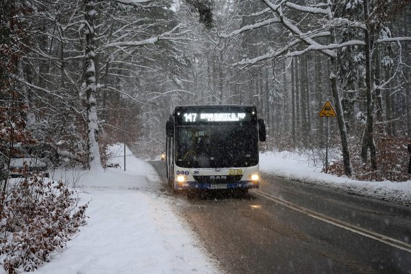 Za darmo komunikacją miejską na setne urodziny Gdyni