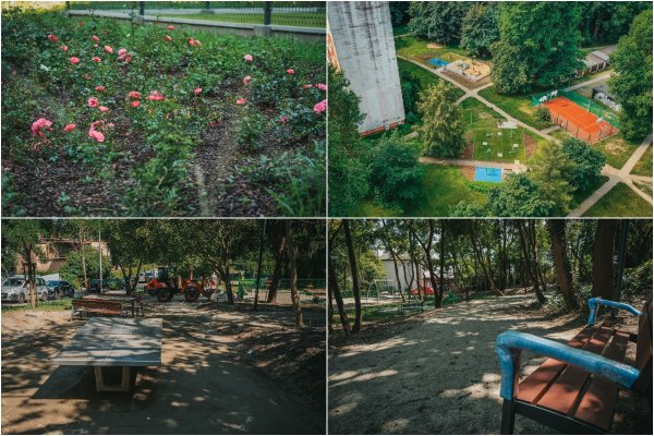 Nowe zielone przestrzenie w Gdyni