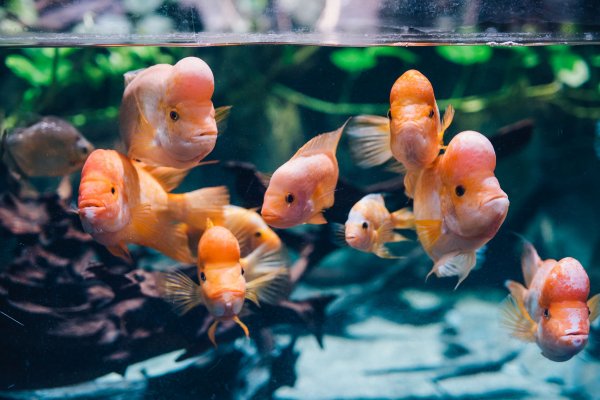 Centrum Edukacji Akwarium Gdyńskiego otwiera drzwi