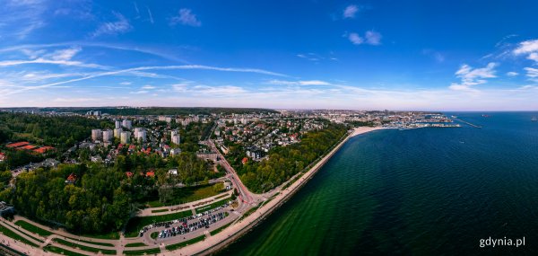 Gdynia o Zielonym Ładzie i wyzwaniach klimatycznych