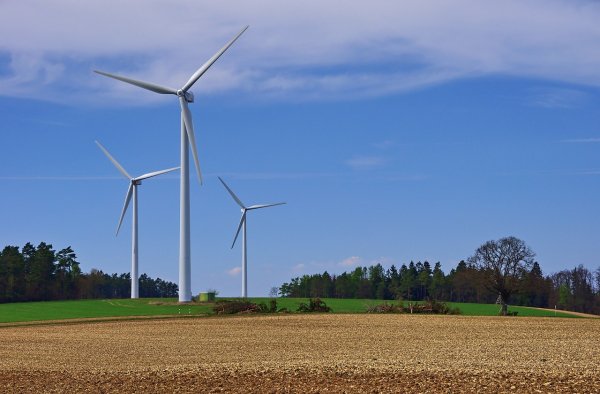 Zbuduj  własną mikro elektrownię wiatrową